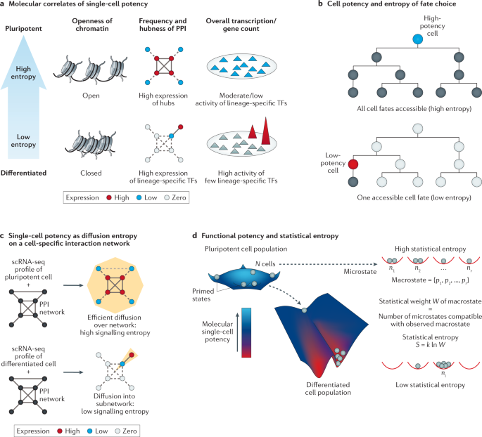 Statistical Mechanics Meets Single Cell Biology Nature Reviews Genetics