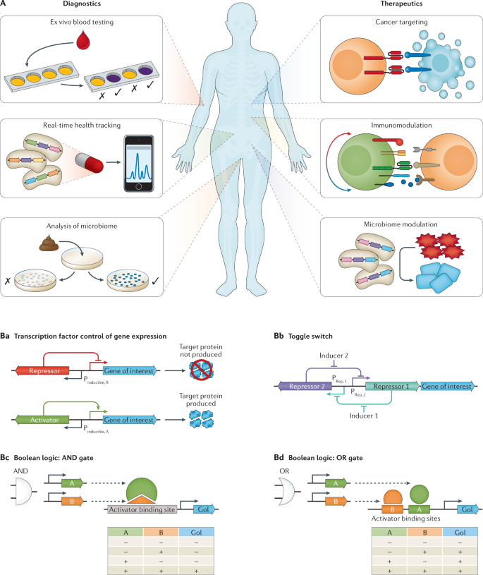 Theranostic cells: emerging clinical applications of synthetic biology |  Nature Reviews Genetics