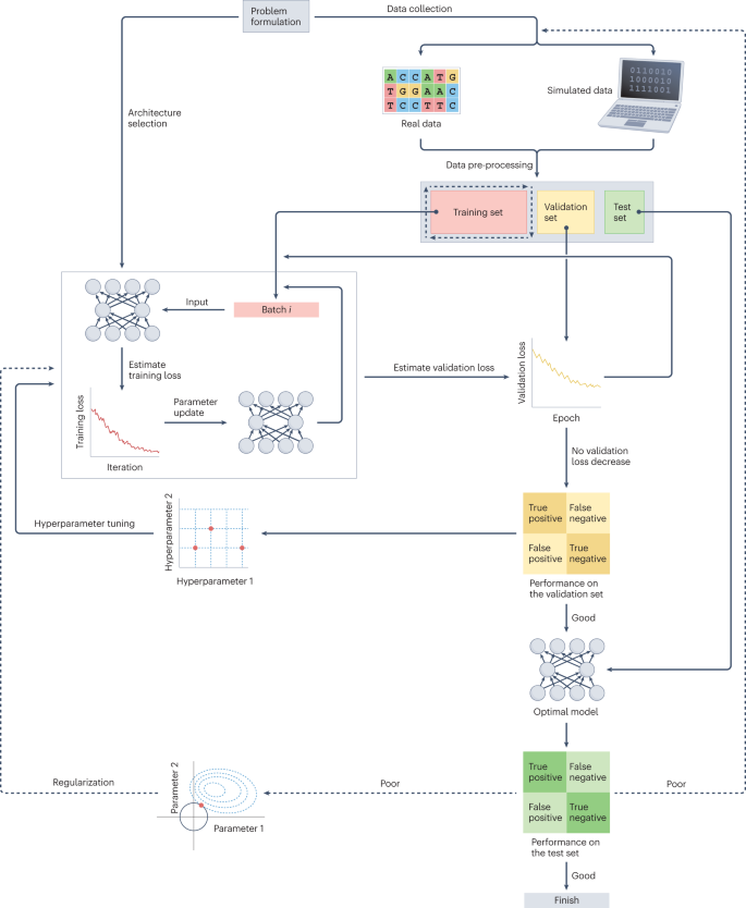 Harnessing deep learning for population genetic inference | Nature 