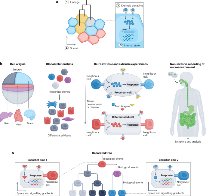 dna research figure 1