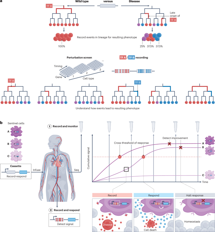dna research figure 5
