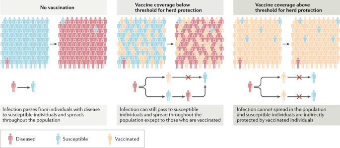 review of literature regarding immunization figure 5
