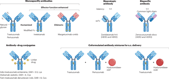 semaglutide antibodies Fifty years of monoclonals: the past, present and future of antibody  therapeutics