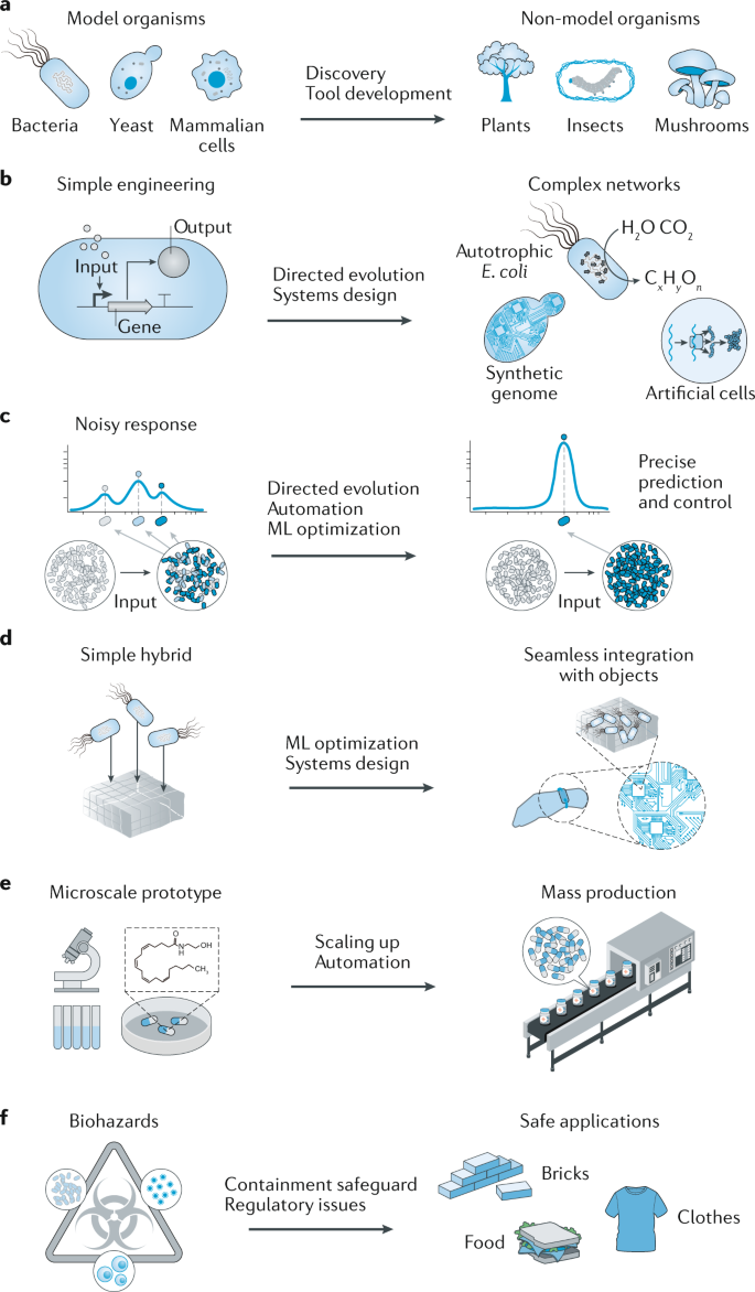 Materials design by synthetic biology | Nature Reviews Materials Materials design by synthetic biology | Nature Reviews Materials