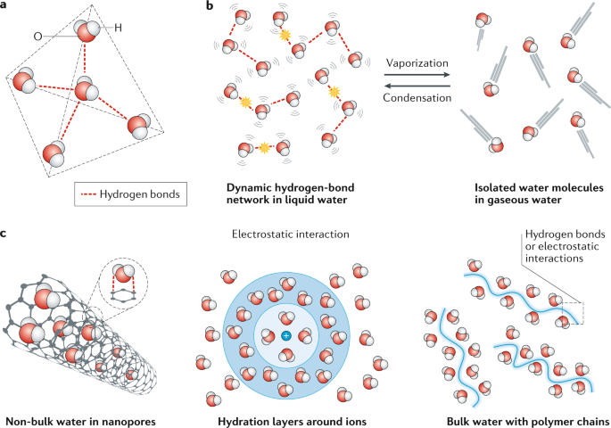 Materials for solar-powered water evaporation | Nature Reviews 