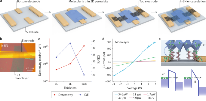 From Bulk To Molecularly Thin Hybrid Perovskites Nature Reviews Materials From Bulk To Molecularly Thin Hybrid Perovskites Nature Reviews Materials