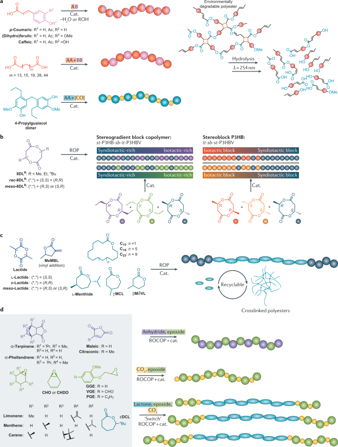 Bio Based Polymers With Performance Advantaged Properties Nature Reviews Materials