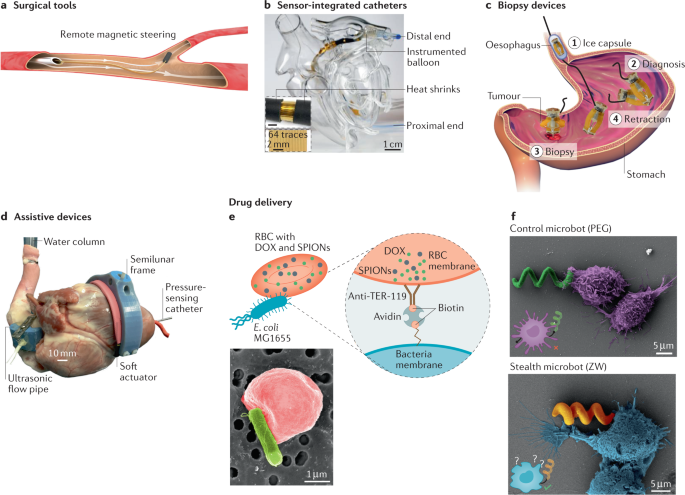 soft actuators for real world applications nature reviews materials