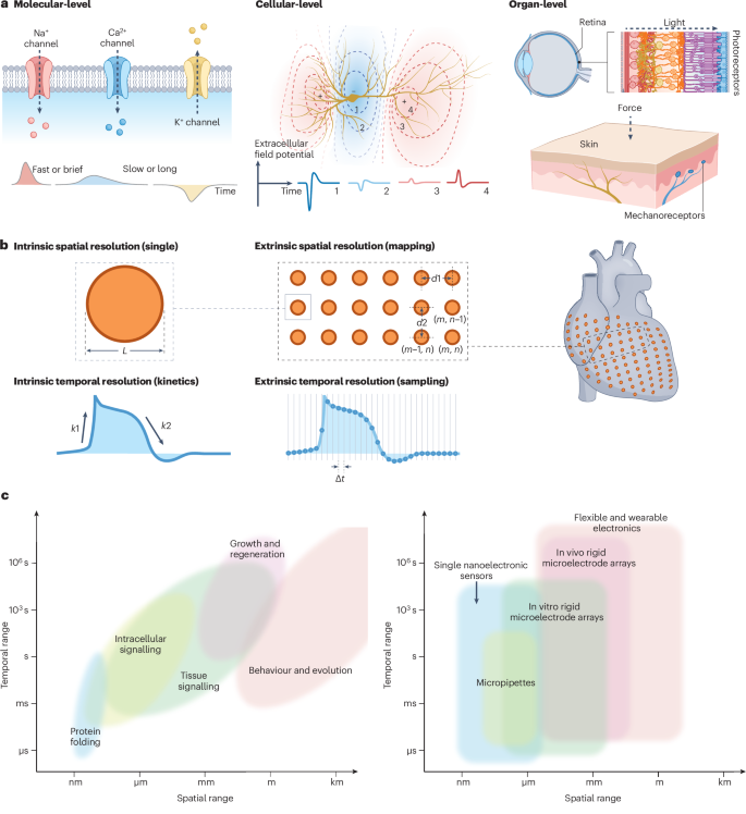 materials-and-device-strategies-to-enhance-spatiotemporal-resolution-in-bioelectronics-nature-reviews-materials for Light S Retention Scale Scoring Guide Free Printable Materials and device strategies to enhance spatiotemporal resolution in bioelectronics | Nature Reviews Materials for Light S Retention Scale Scoring Guide Free Printable