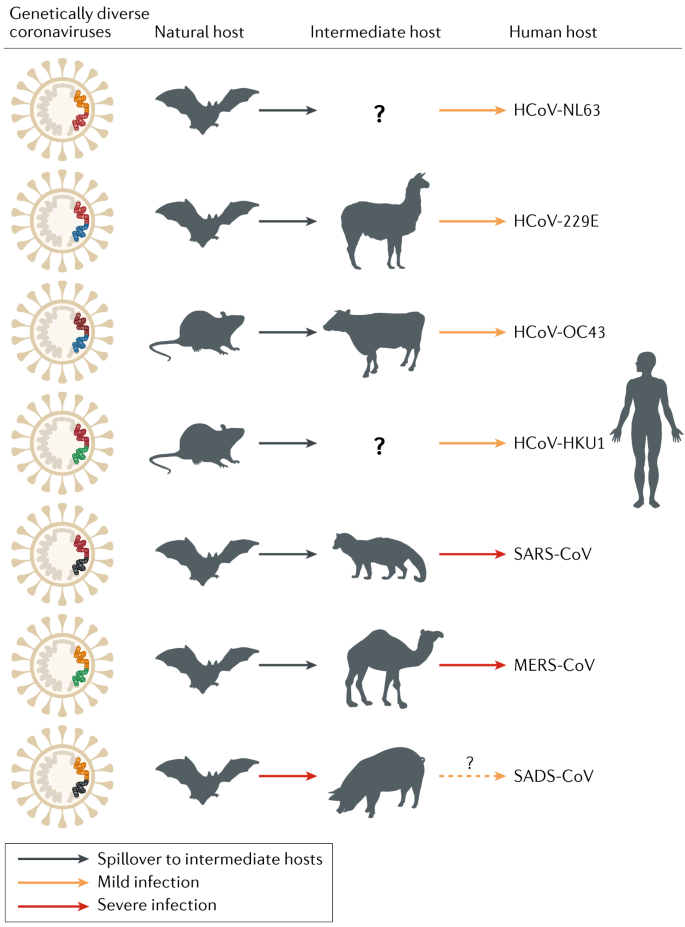 figure2