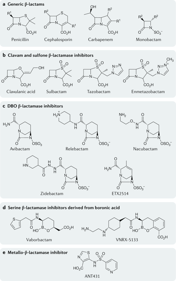 Interplay Between B Lactamases And New B Lactamase Inhibitors Nature Reviews Microbiology