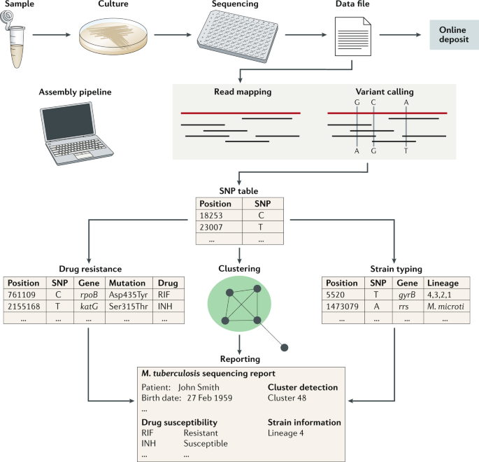 whole genome sequencing of