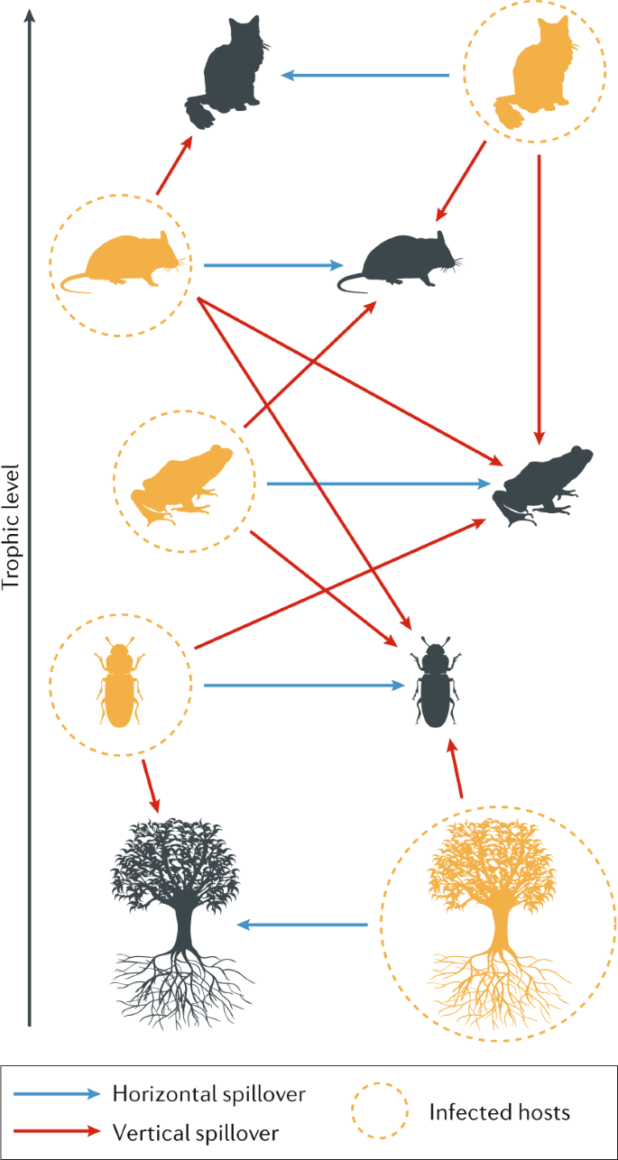 Microbial Invasions In Terrestrial Ecosystems Nature Reviews Microbiology