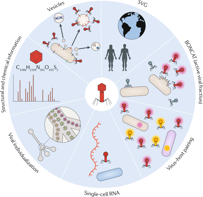 Download Single Virus Genomics And Beyond Nature Reviews Microbiology