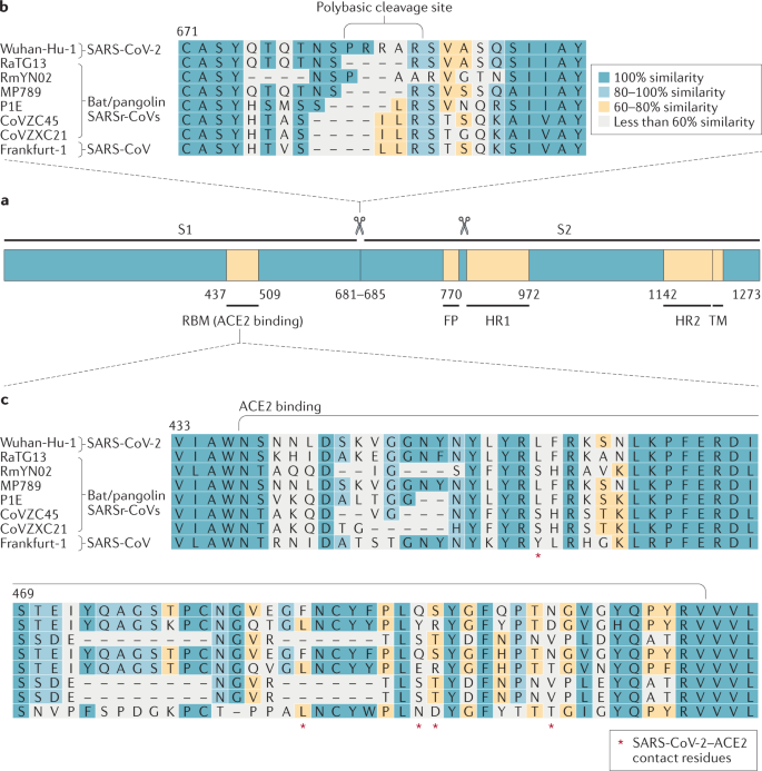 Coronavirus Biology And Replication Implications For Sars Cov 2 Nature Reviews Microbiology