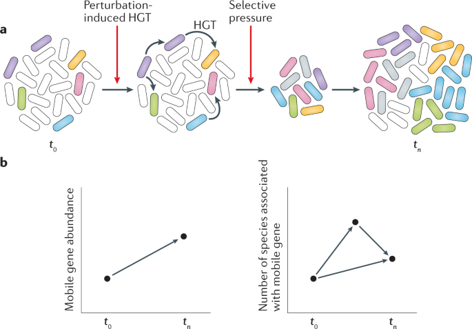 Examining Horizontal Gene Transfer In Microbial Munities Nature Reviews Microbiology
