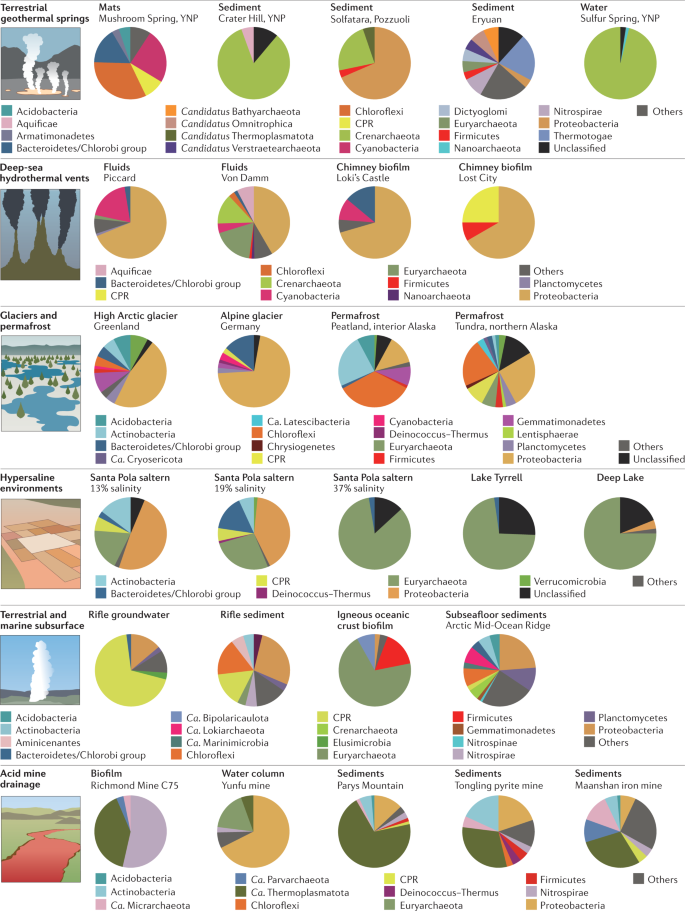 Microbial Diversity In Extreme Environments Nature Reviews Microbiology