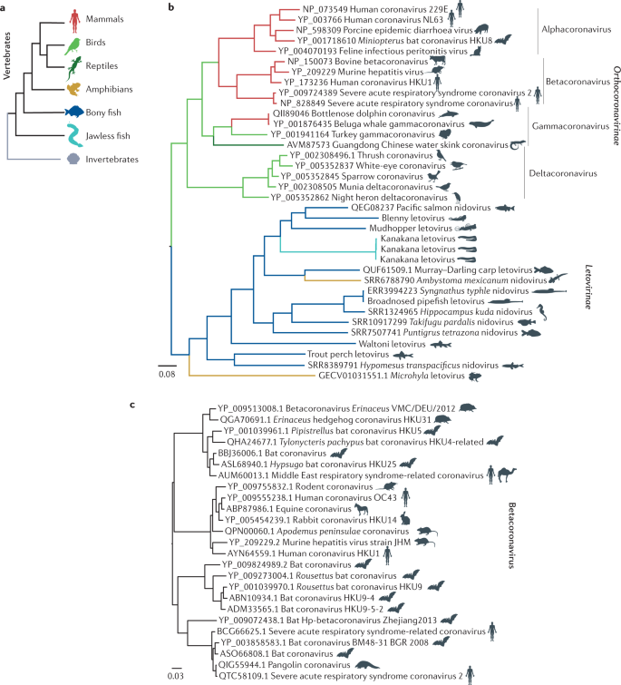 Diversity And Evolution Of The Animal Virome | Nature Reviews Microbiology Diversity And Evolution Of The Animal Virome | Nature Reviews Microbiology