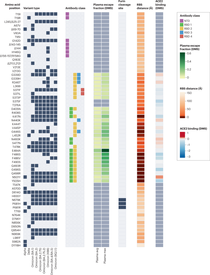 SARS-CoV-2 omicron variant may evade host immune responses