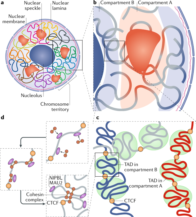 figure1