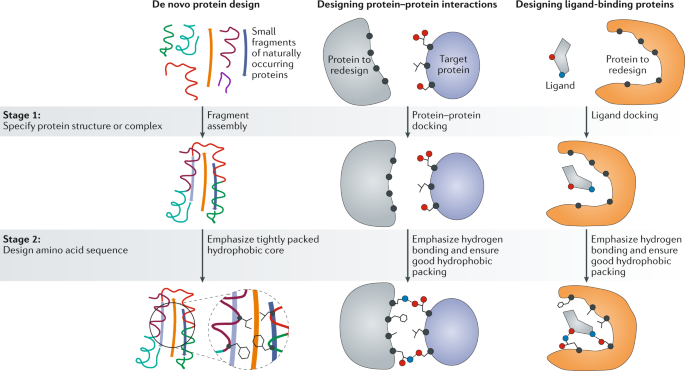 Advances in protein structure prediction and design | Nature Reviews  Molecular Cell Biology