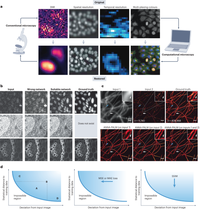 Live-cell imaging powered by computation | Nature Reviews 