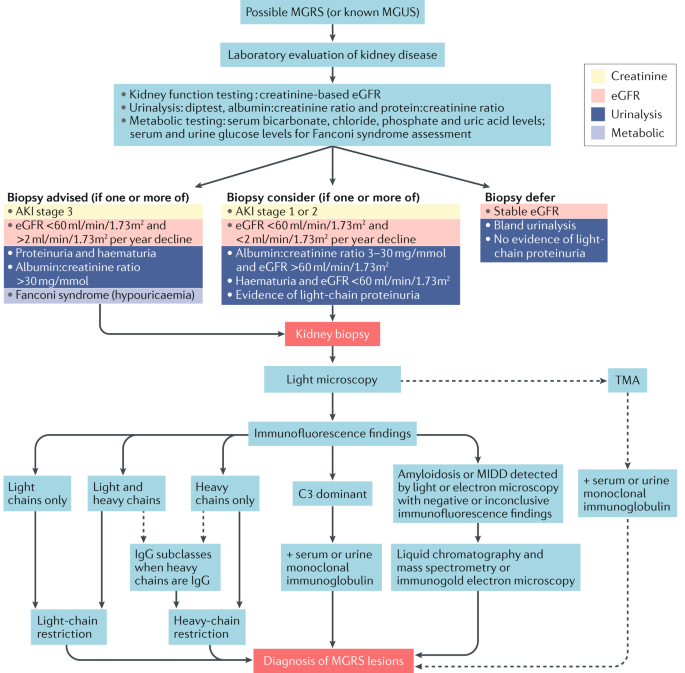 The evaluation of monoclonal gammopathy of renal significance: a consensus  report of the International Kidney and Monoclonal Gammopathy Research Group  | Nature Reviews Nephrology