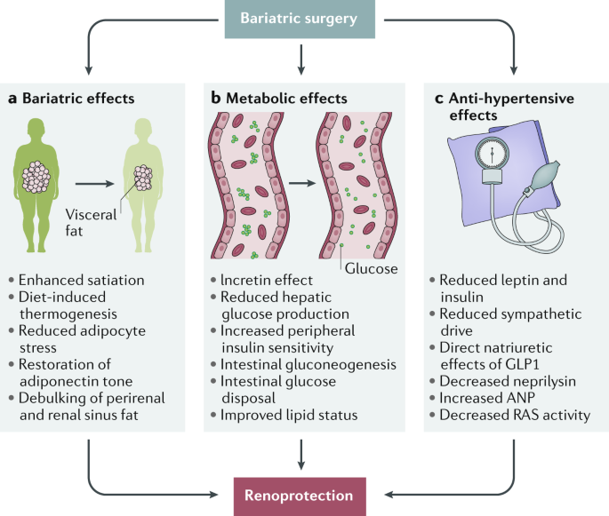 Bariatric Surgery For The Treatment Of Chronic Kidney Disease In Obesity And Type 2 Diabetes Mellitus Nature Reviews Nephrology