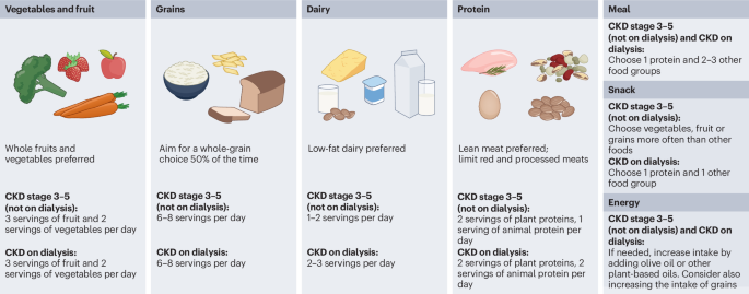 Quality-oriented diet therapy for chronic kidney disease | Nature ...