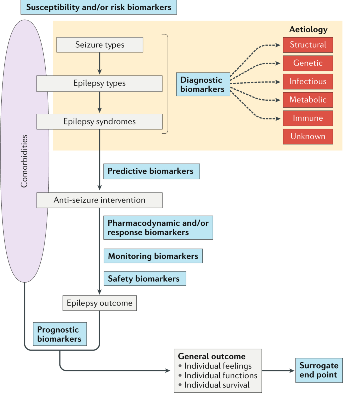 A somatization comorbidity phenotype impacts response to therapy