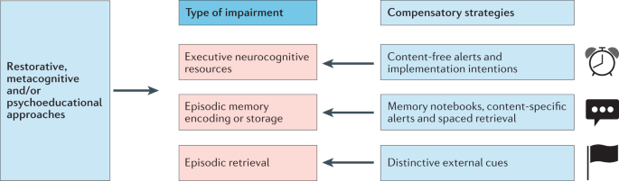 Prospective Memory Impairment In Neurological Disorders Implications And Management Nature Reviews Neurology