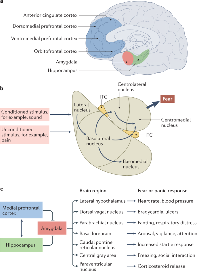 Associations between post-traumatic stress disorders and psychotic