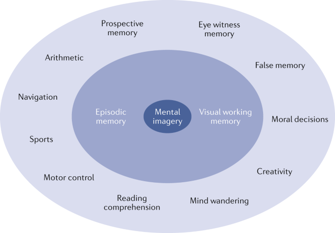 The human imagination: the cognitive neuroscience of visual mental imagery  | Nature Reviews Neuroscience
