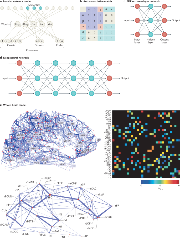 Biological Constraints On Neural Work Models Of Cognitive Function Nature Reviews Neuroscience