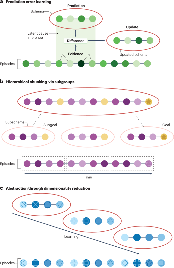 Schemas, reinforcement learning and the medial prefrontal cortex 