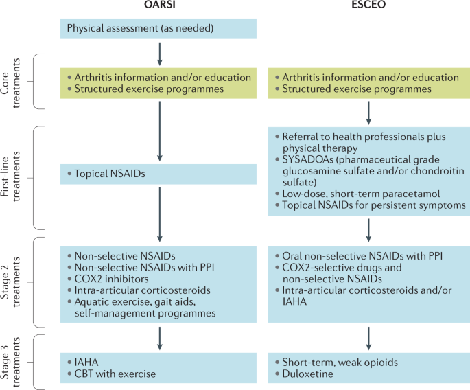 Osteoarthritis guidelines 2019 pdf