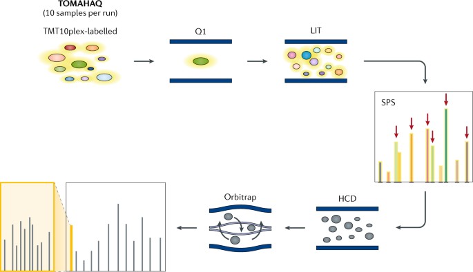 Personalization Of Prostate Cancer Therapy Through Phosphoproteomics Nature Reviews Urology Personalization Of Prostate Cancer Therapy Through Phosphoproteomics Nature Reviews Urology