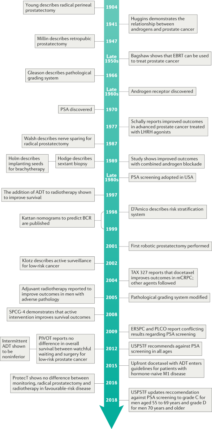 prostate cancer review nature