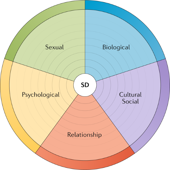 duoble wife medical definition of transgender