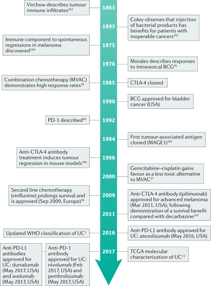 Molecular And Histopathology Directed Therapy For Advanced Bladder Cancer Nature Reviews Urology