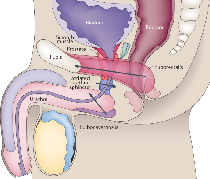 10 injecții pentru prostatită