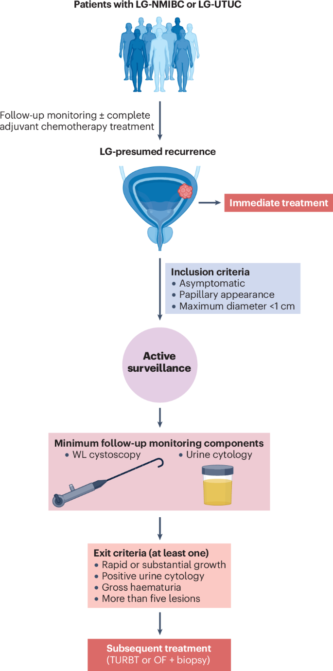 Fig. 1: Visual summary of the statements that reached consensus in both Delphi rounds.