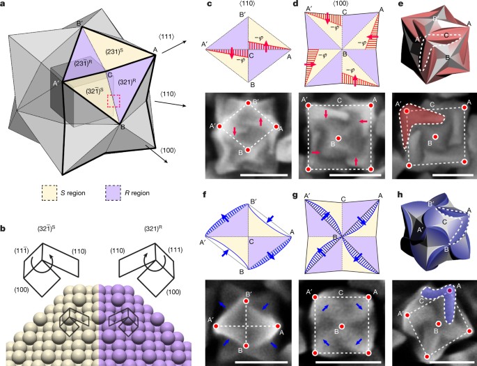 Amino-acid- and peptide-directed synthesis of chiral plasmonic gold  nanoparticles | Nature