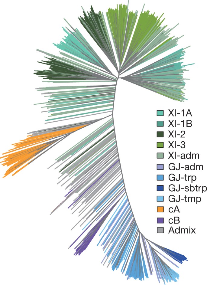 Genomic Variation In 3 010 Diverse Accessions Of Asian Cultivated Rice Nature