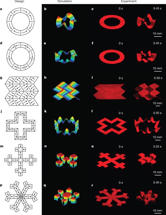 Printing ferromagnetic domains for untethered fast-transforming 