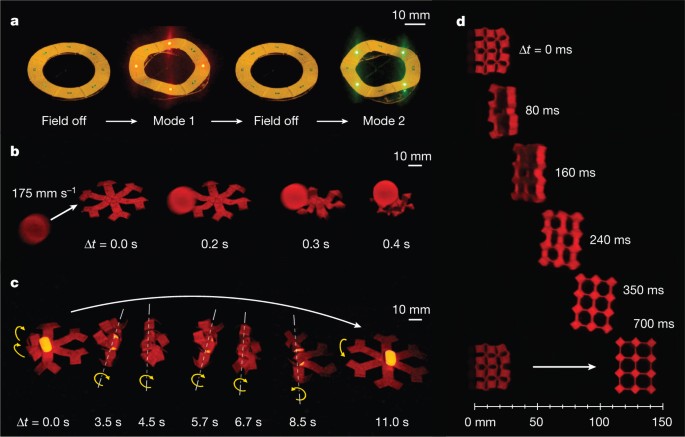 Printing ferromagnetic domains for untethered fast-transforming 