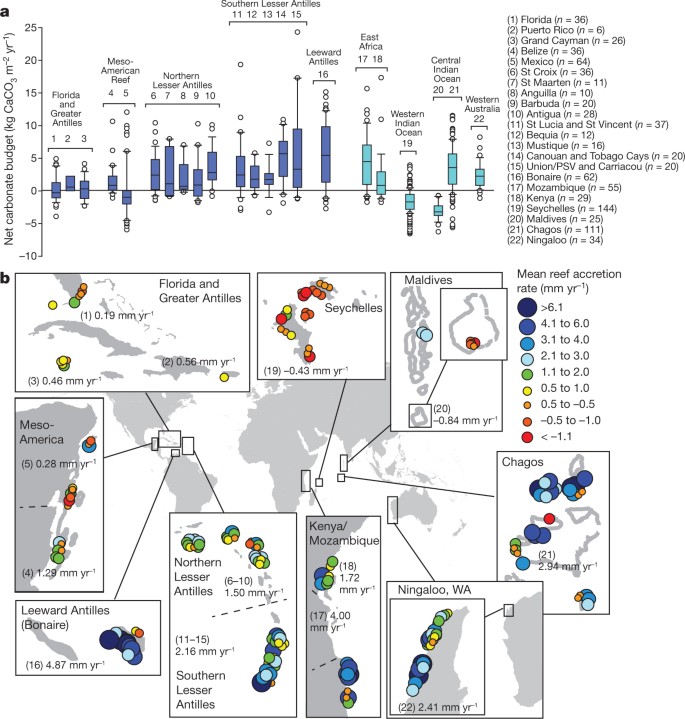 Loss Of Coral Reef Growth Capacity To Track Future Increases