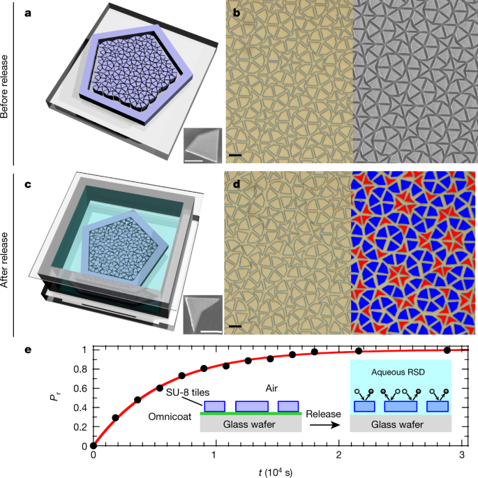 Download A Brownian Quasi Crystal Of Pre Assembled Colloidal Penrose Tiles Nature PSD Mockup Templates
