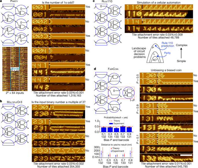 Diverse And Robust Molecular Algorithms Using Reprogrammable Dna Self Assembly Nature Diverse And Robust Molecular Algorithms Using Reprogrammable Dna Self Assembly Nature
