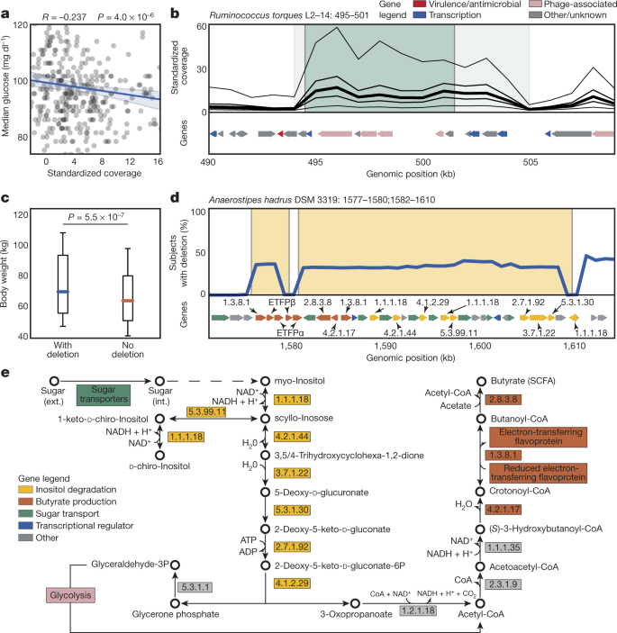 Structural Variation In The Gut Microbiome Associates With Host Health Nature